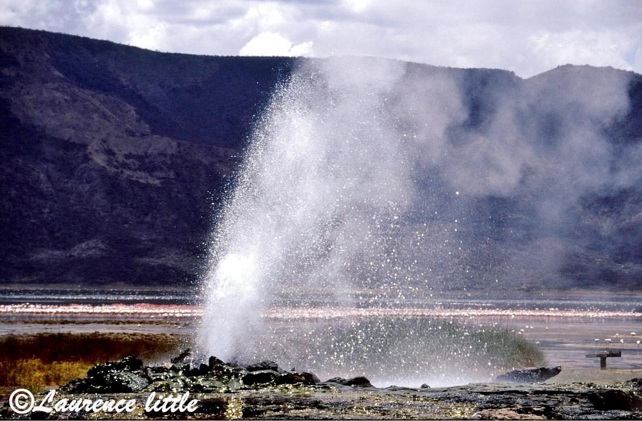Kenya.Bogoria