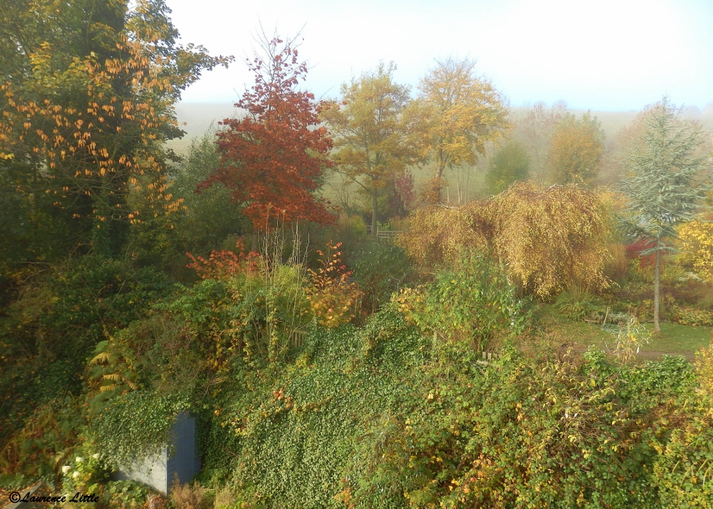 Yorkshire misty garden