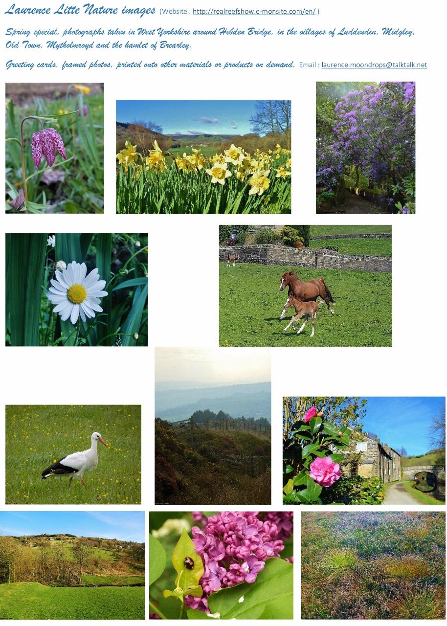 Spring special, photographs taken in West Yorkshire around Hebden Bridge, in the villages of Luddenden, Midgley,        Old Town, Mytholmroyd and the hamlet of Brearley.